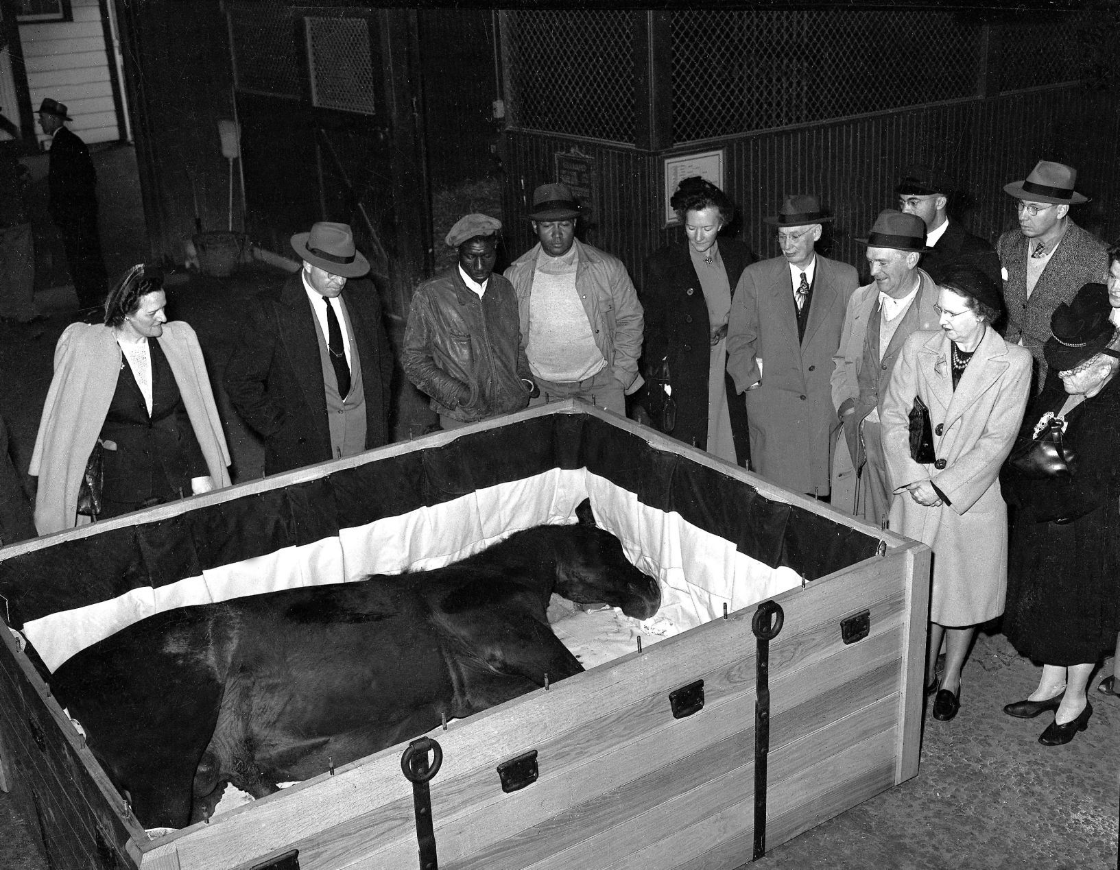 1947: MAN O'WAR